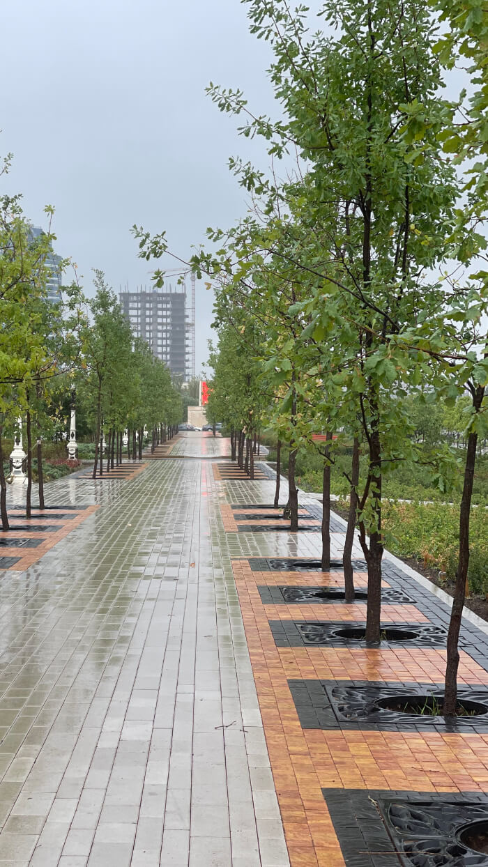 Приствольная решетка для дерева ZKING CRUST 1.2х1.2м Черная в Челябинске фото