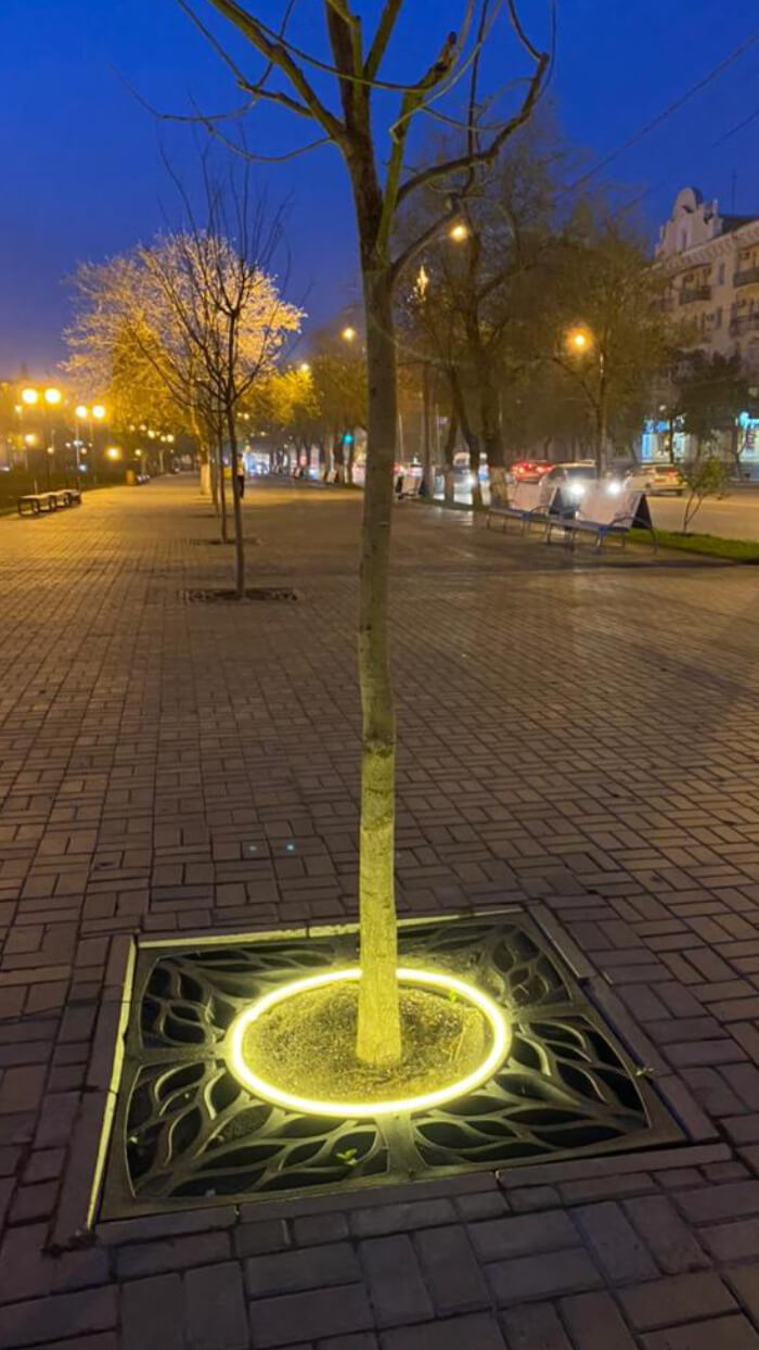 Приствольная решетка для дерева ZKING CRUST 1.2х1.2м Черная в Челябинске фото